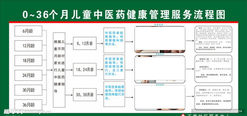 兒童中醫(yī)藥健康管理服務(wù)流程圖 信息系統(tǒng)集成與商業(yè)插畫設(shè)計