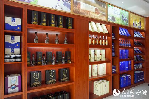 新征程江淮行｜安徽懷寧 勾勒“莓”好藍圖，科技助力鄉村振興