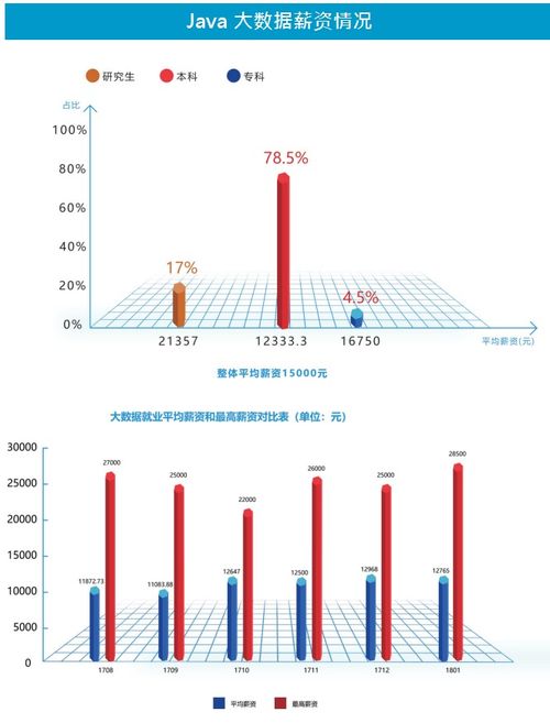 Java大數據開發工程師實戰指南 從代碼到服務化部署
